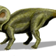 Illustration for article titled Why Did Scientists Mistake This Ancient Bird Egg For A Dinosaur Egg?